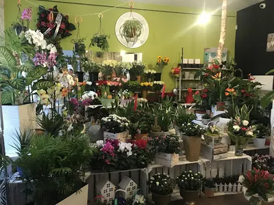 Kwiaciarnia Wejherowo | Kwiaciarnia Art Rosis, Kwiatowa Poczta Wejherowo, Pracownia Florystyczna